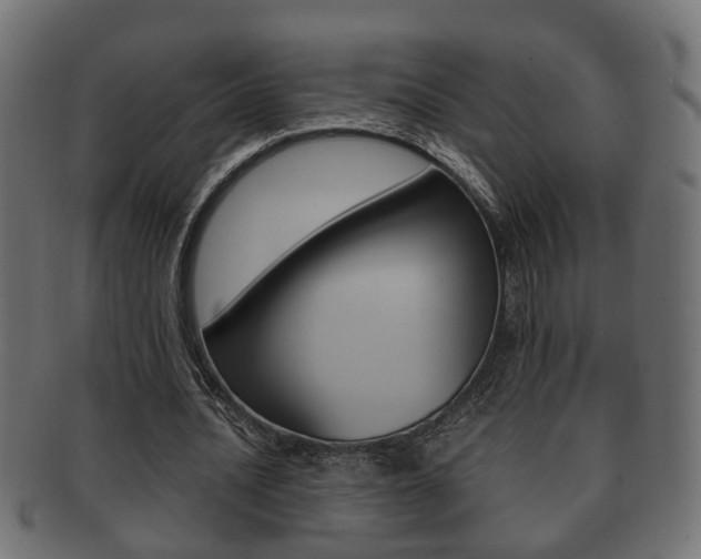 X0000092330628200709141118
