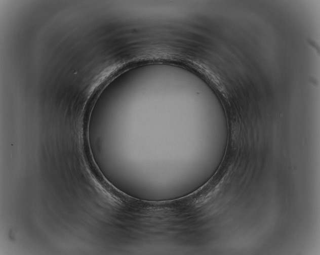 X0000092330629200709141118