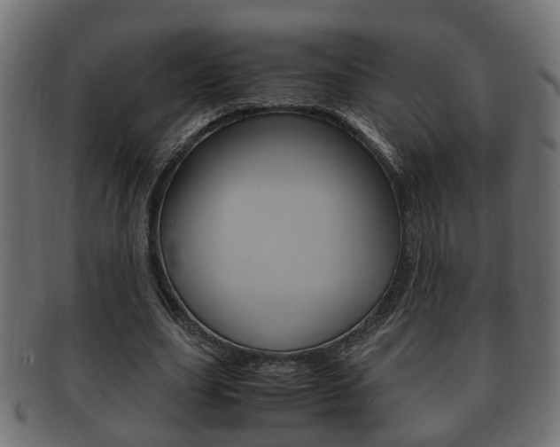 X0000092330631200709141118