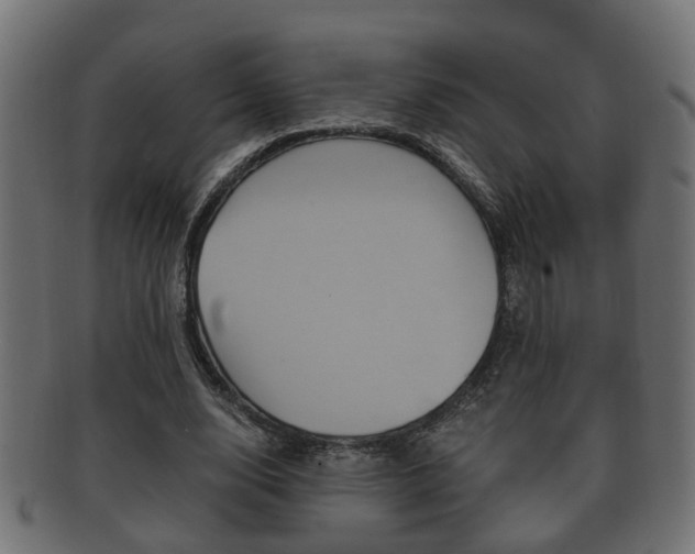 X0000092330632200709141118