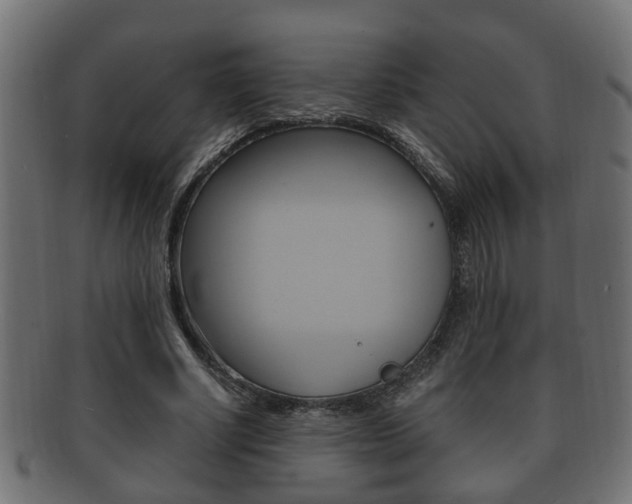 X0000092330634200709141118