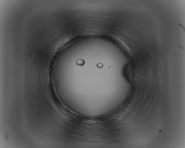 X0000092330635200709141118