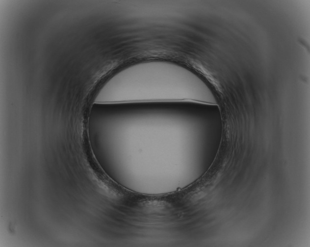 X0000092330637200709141118