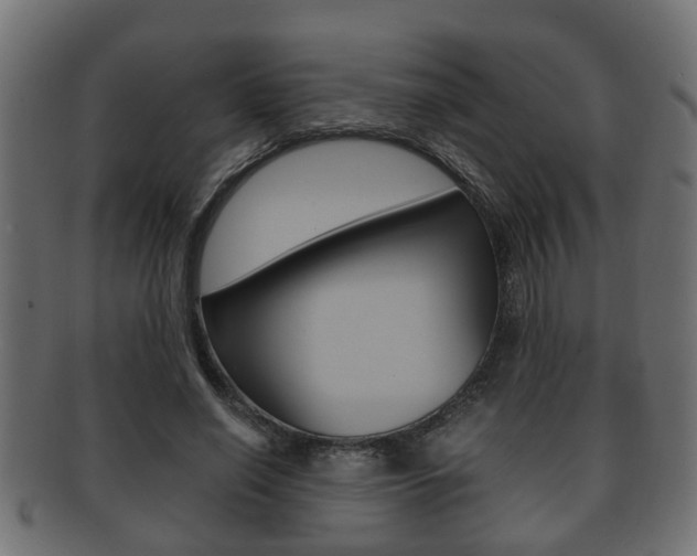 X0000092330638200709141118