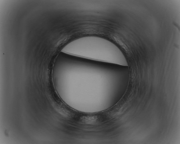 X0000092330639200709141118