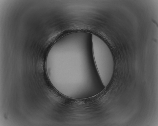 X0000092330640200709141118