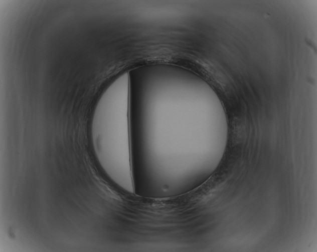 X0000092330641200709141118