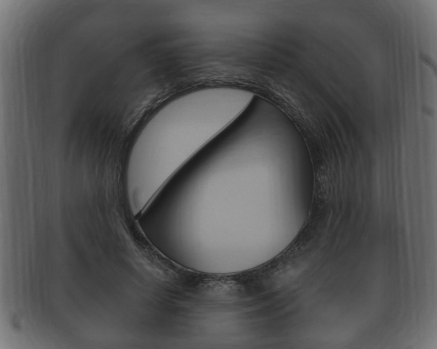 X0000092330642200709141118