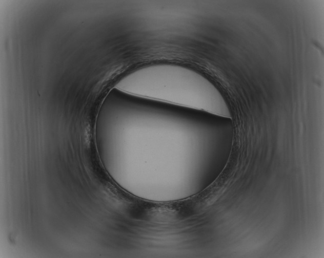 X0000092330644200709141118