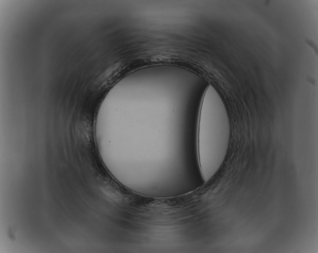 X0000092330648200709141118