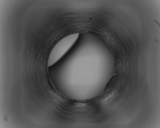 X0000092330649200709141118