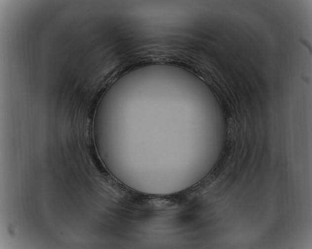 X0000092330650200709141118