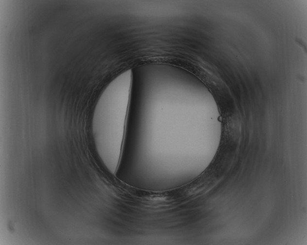 X0000092330651200709141118