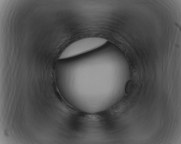 X0000092330654200709141118