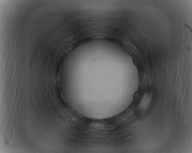 X0000092330655200709141118