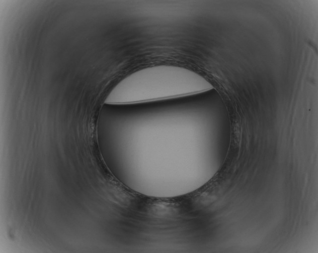 X0000092330657200709141119