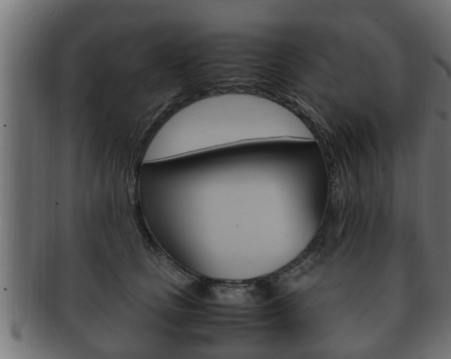X0000092330661200709141119