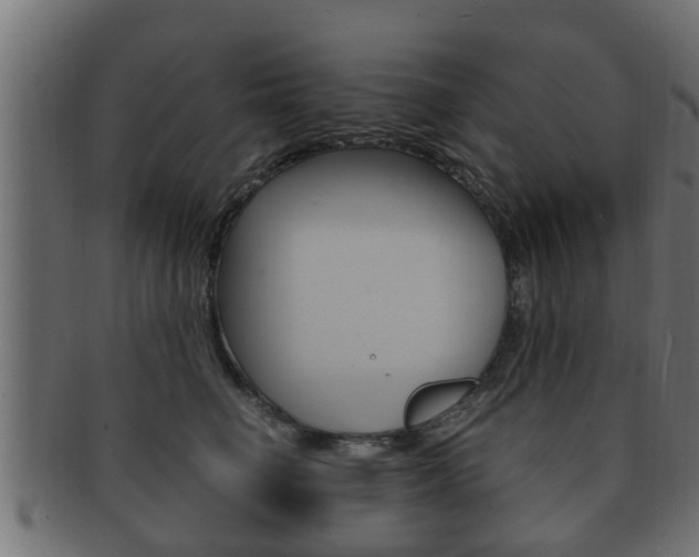 X0000092330662200709141119