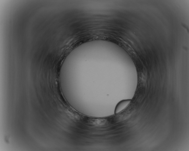 X0000092330663200709141119