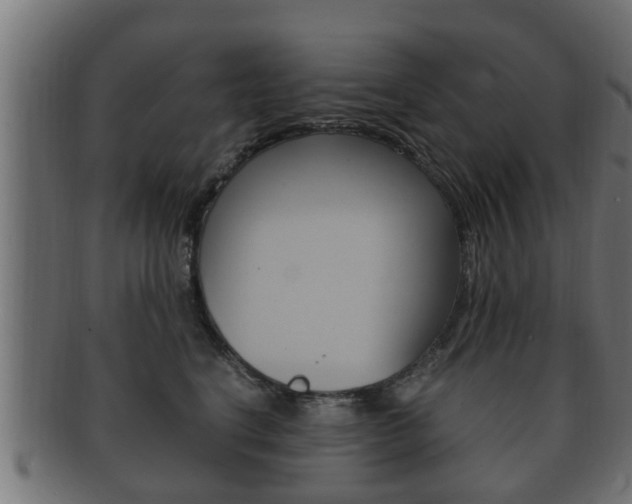 X0000092330664200709141119