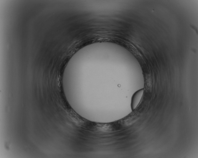 X0000092330667200709141119