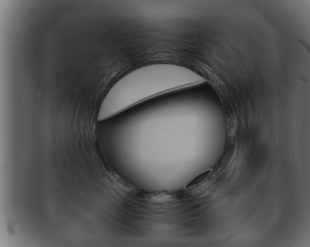 X0000092330669200709141119