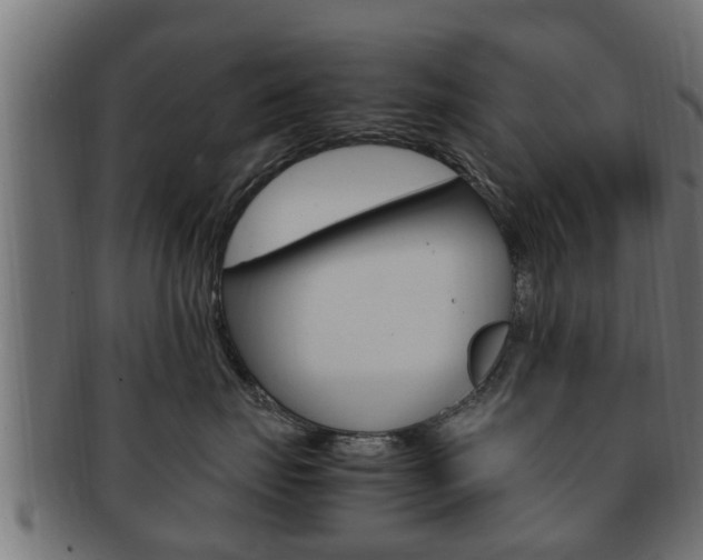 X0000092330671200709141119