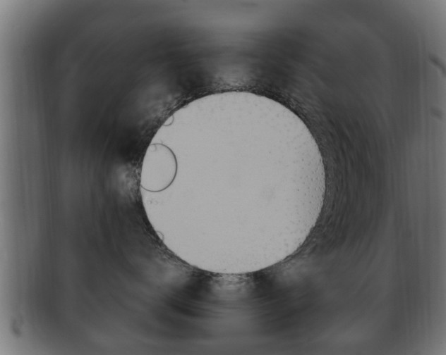 X0000092330672200709141119