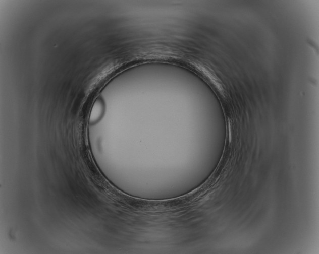 X0000092330675200709141118