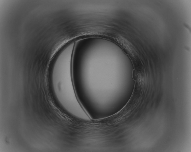 X0000092330676200709141118