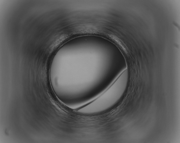 X0000092330677200709141118