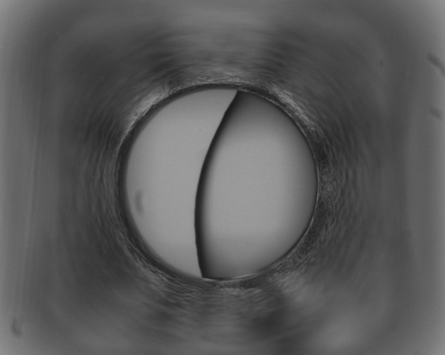 X0000092330679200709141118