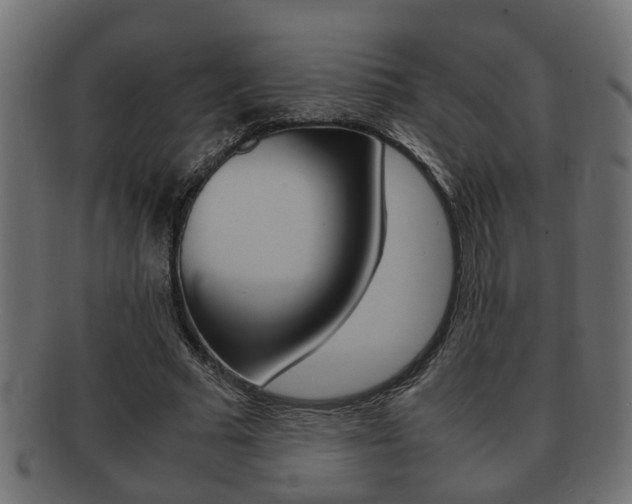 X0000092330681200709141118