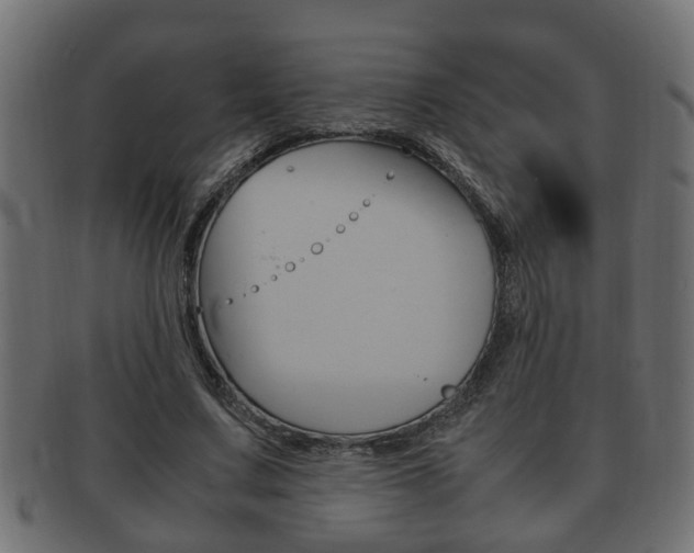 X0000092330683200709141118
