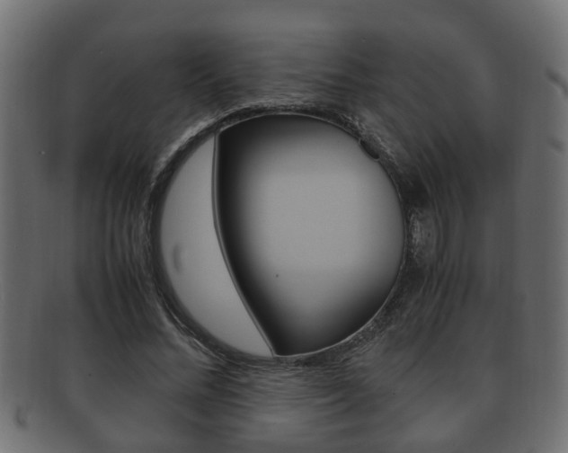 X0000092330684200709141118