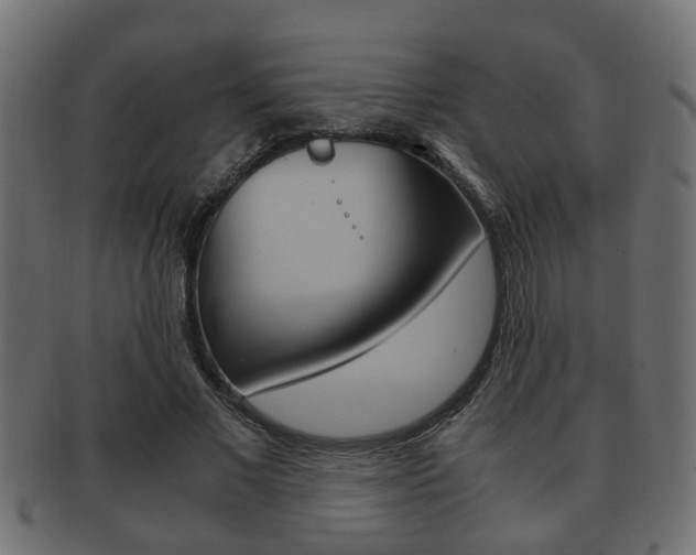 X0000092330685200709141118
