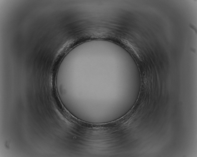 X0000092330686200709141118