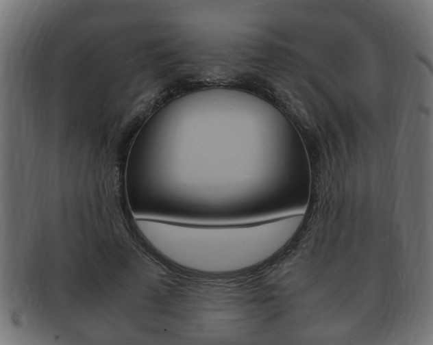 X0000092330689200709141118