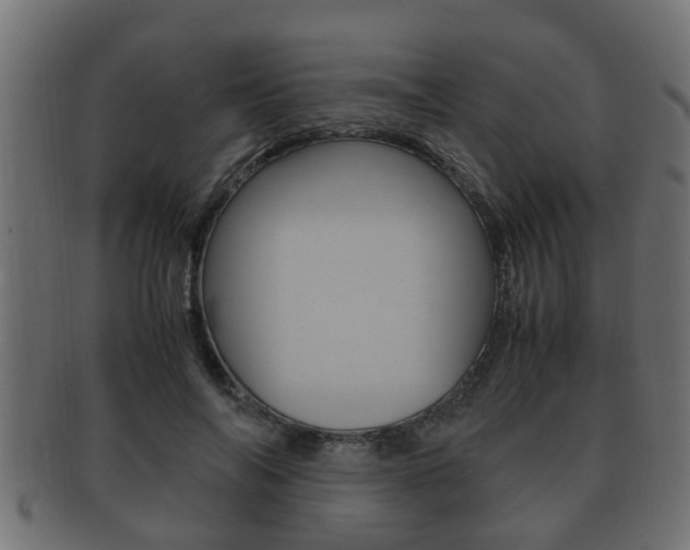 X0000092330694200709141118
