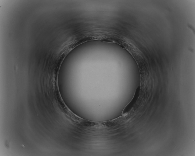 X0000092330696200709141118