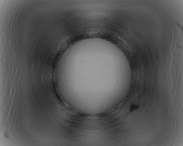 X0000092330702200709141117