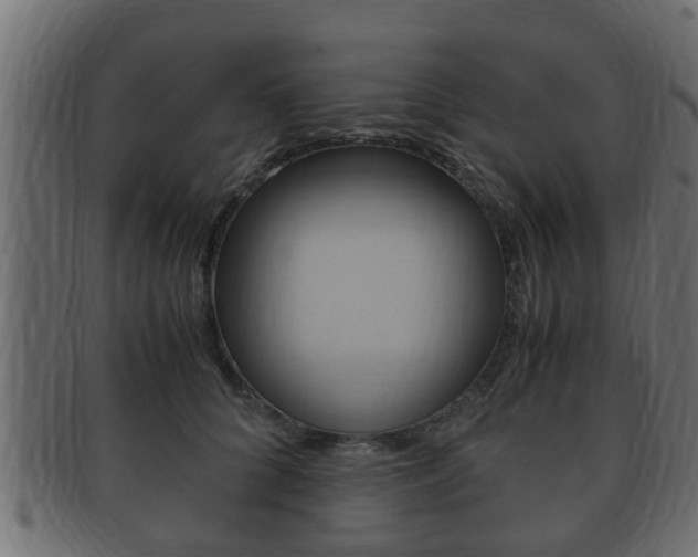 X0000092330704200709141117