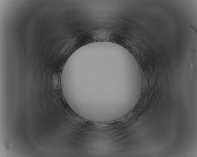 X0000092330709200709141117