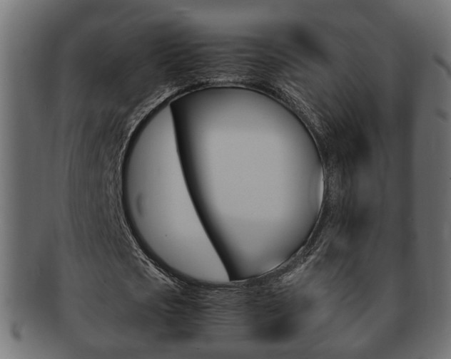 X0000092330721200709141117