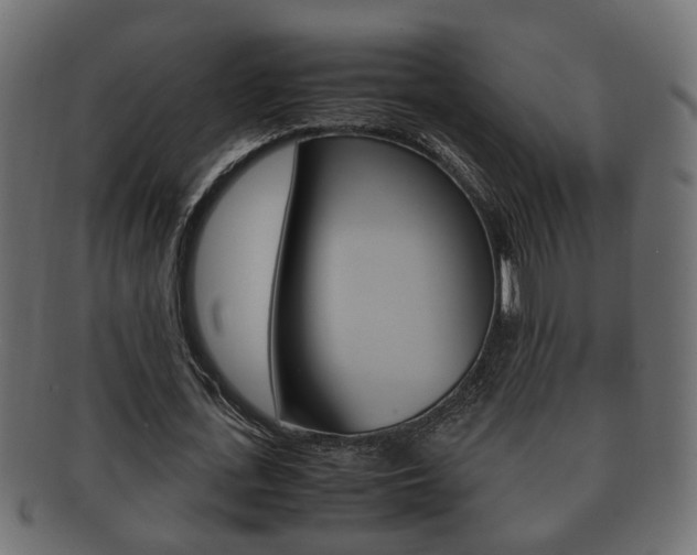 X0000092330723200709141117