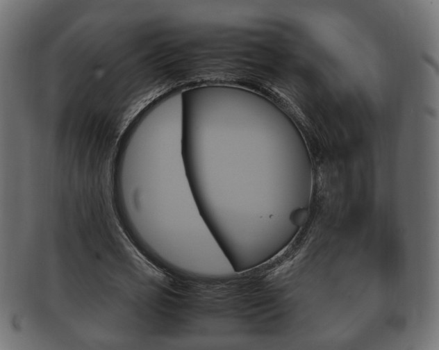 X0000092330725200709141117