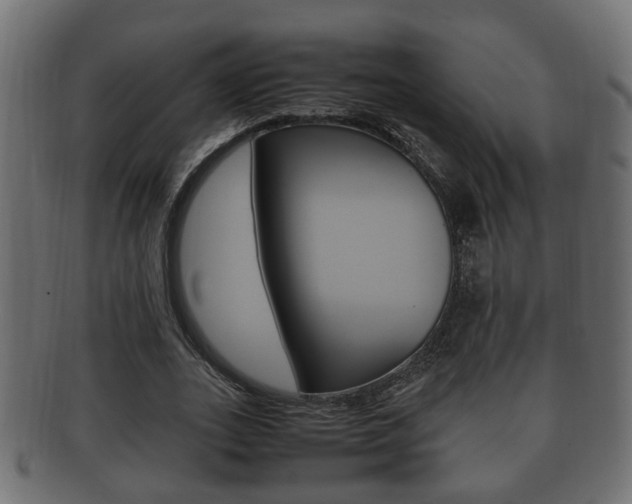 X0000092330727200709141117