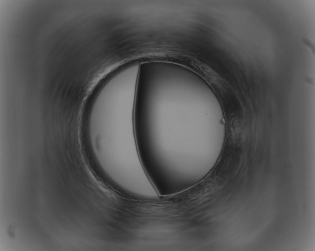 X0000092330728200709141117