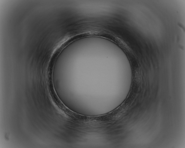 X0000092330730200709141117