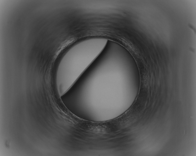 X0000092330731200709141117